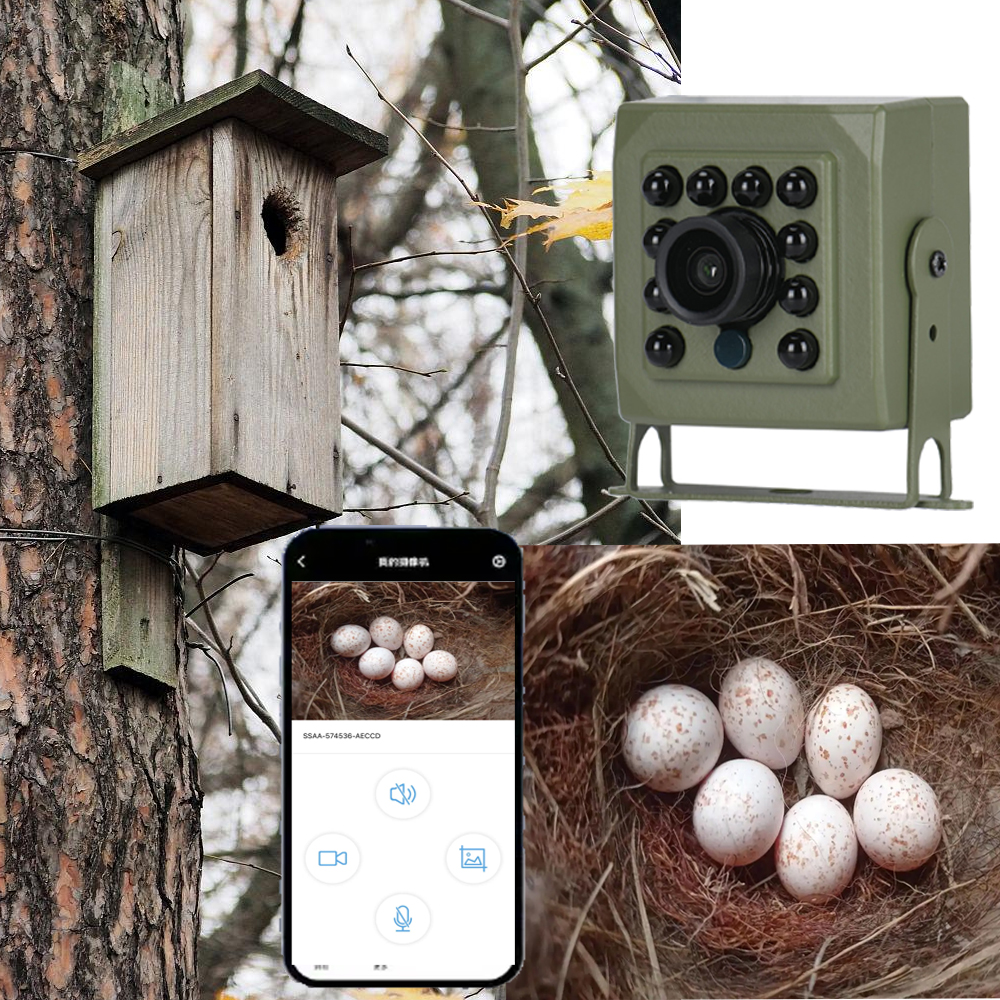 6MP 4MP Tuya Bird Camera WIFI  - огляд і ціна Home Security Video Recording Systems